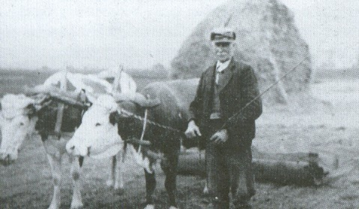 História