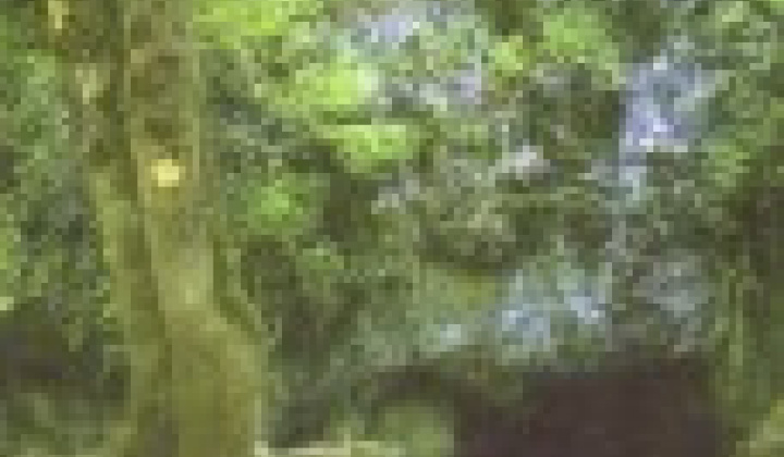 1. fotografia fotogalérie Súčasnosť