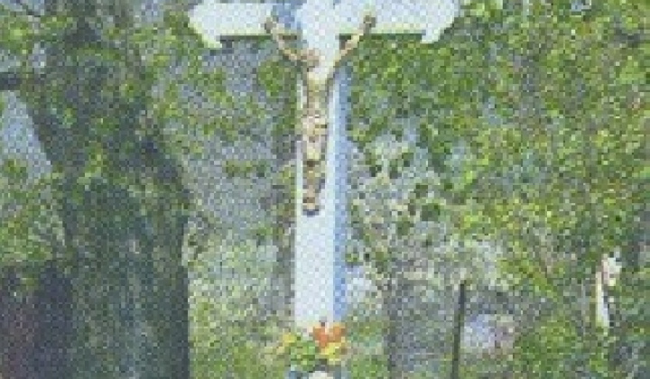 13. fotografia fotogalérie Z obce