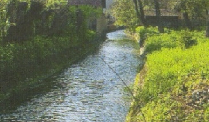 14. fotografia fotogalérie Z obce