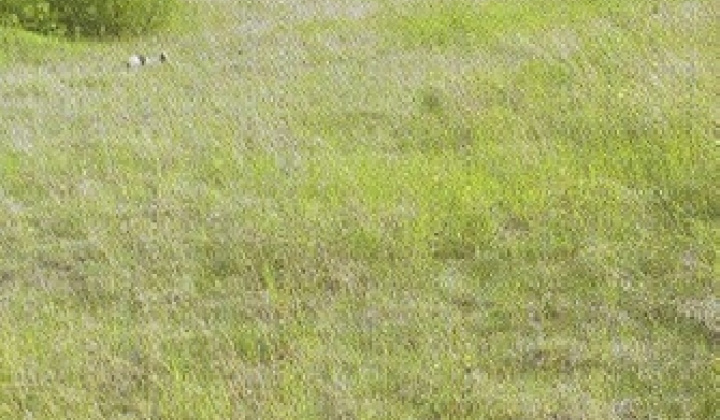 15. fotografia fotogalérie Z obce